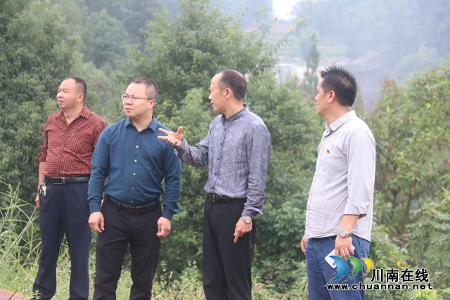曾一洴到泸县百和镇督导大陆溪水生态环境保护和河长制工作