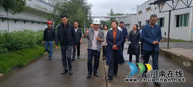 马宗慧率队到宜宾南溪区开展长江生态环境保护民主监督调研