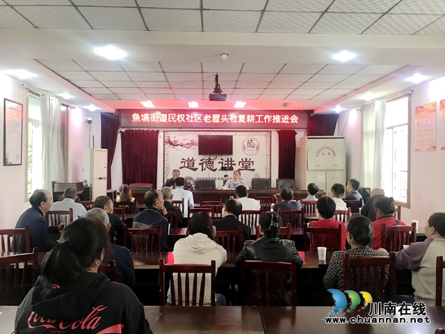 龙马潭区鱼塘街道：有序推进复耕复种工作