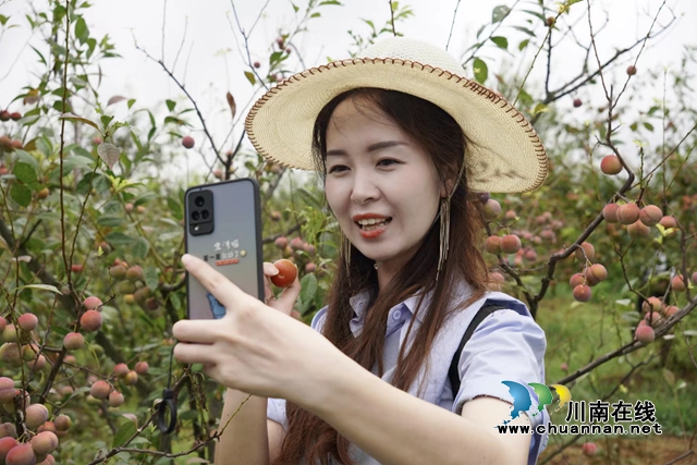 紧抓流量红利 把握时代浪潮｜叙永县电商助农迈向新高潮
