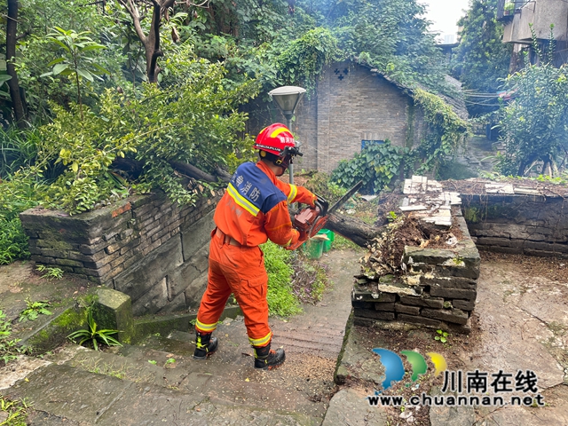 龙马潭区小市街道上大街社区：排危砍树解民忧