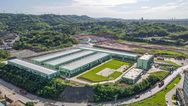 一根翠竹带动“兴业富民”，纳溪胸有成“竹”