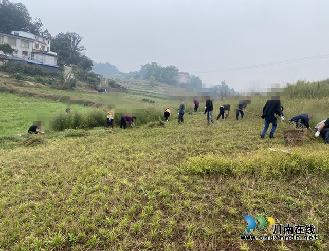 合江县白米司法所：“矫心正行”助力乡村振兴