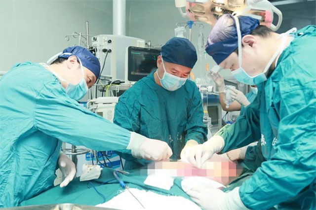 国内首例！重大突破！内江基因编辑猪皮肤，成功移植到特重度烧伤患者身上——