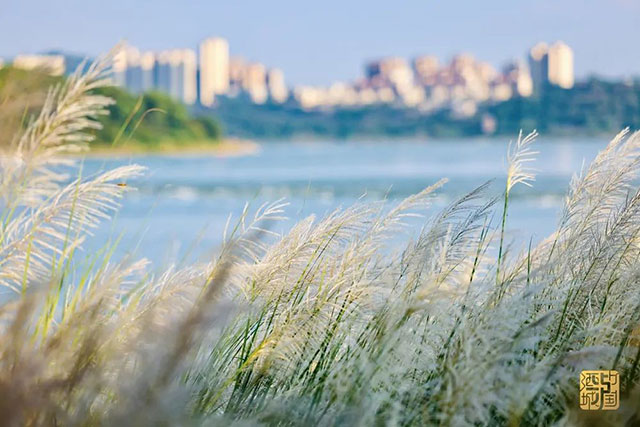 期待住了！泸州下周天气预测：主打一个秋高气爽