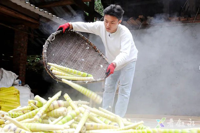 叙永:大竹笋带动富民兴村(图8) 8.jpg