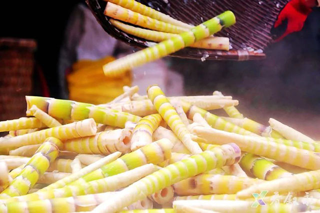 叙永:大竹笋带动富民兴村(图15) 15.jpg