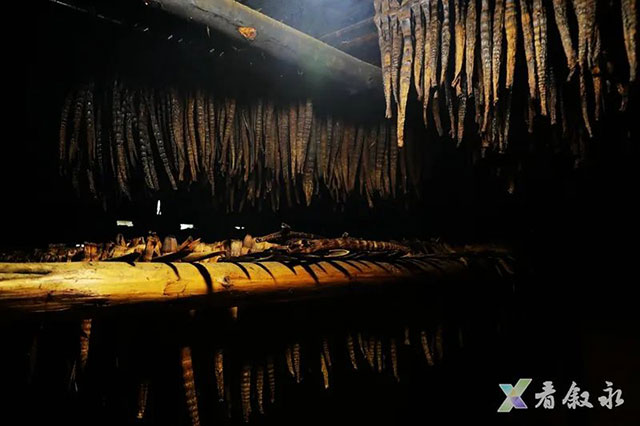 叙永:大竹笋带动富民兴村(图18) 18.jpg