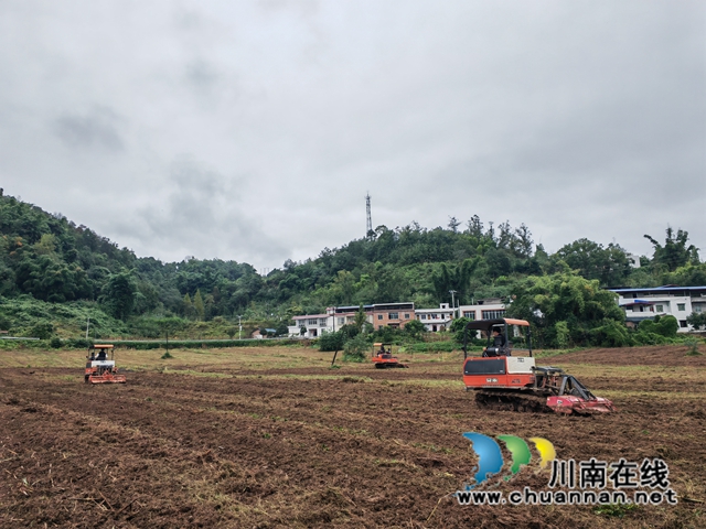 泸县油菜直播前耕整机在耕地1（曾佐然摄）.jpg