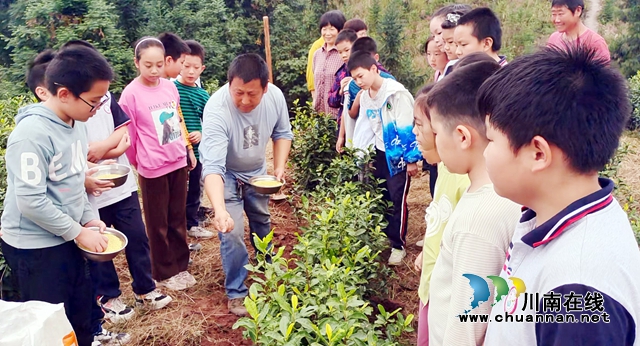 纳溪区打古小学:校园劳动教育基地成为学生成长乐园(图1) 1.jpg