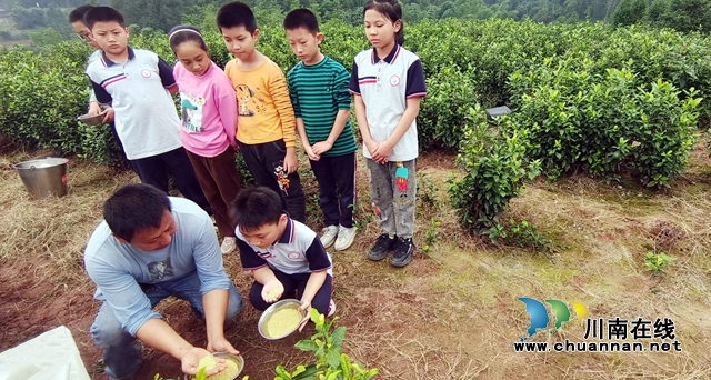纳溪区打古小学:校园劳动教育基地成为学生成长乐园(图2) 2.jpg