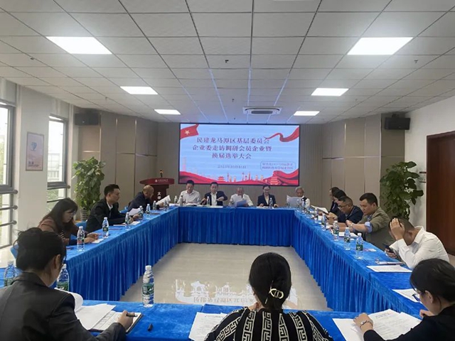 民建龙马潭区基层委员会企业委圆满完成换届工作