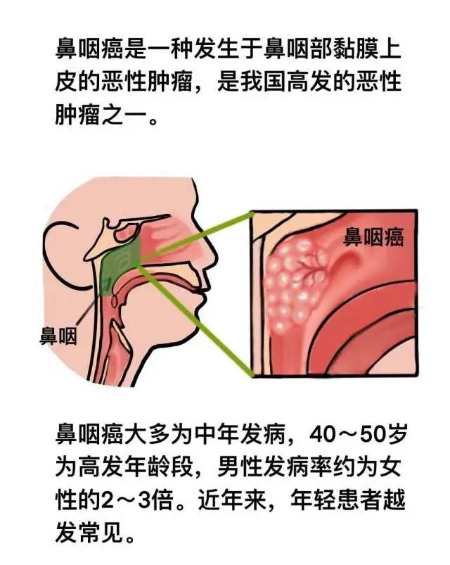 微信图片_20231026093027.jpg