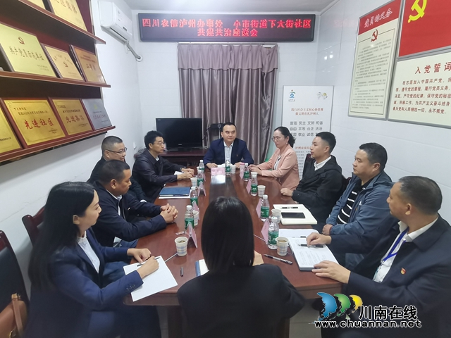 龙马潭区小市街道下大街社区： 党建引领社区治理  积极发挥共建作用