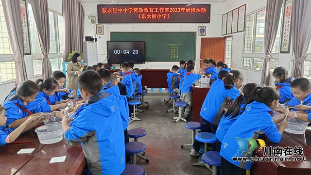 依托学科融合    发展劳动教育 | 叙永县东大街小学承办叙永县中小学劳动教育名师工作室研修活动