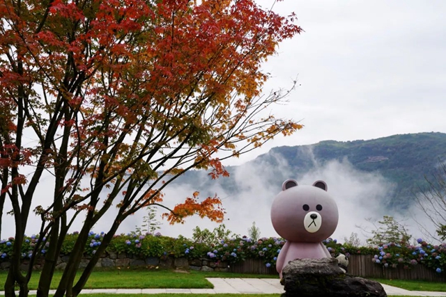 层林尽染!秋日罗汉林,超美!(图5) 5.jpg