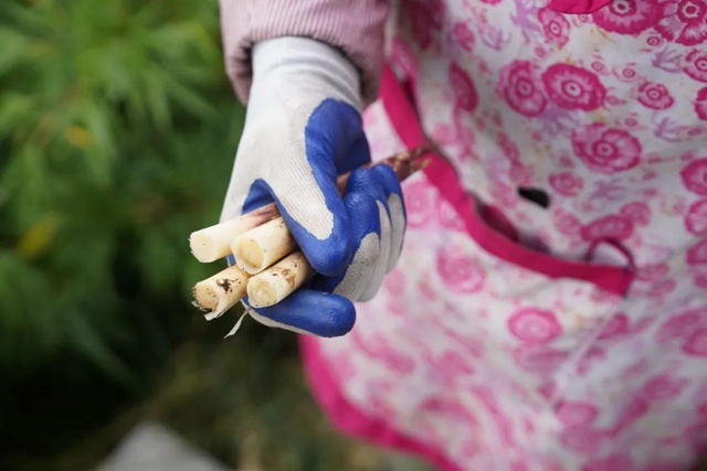 层林尽染!秋日罗汉林,超美!(图7) 7.jpg