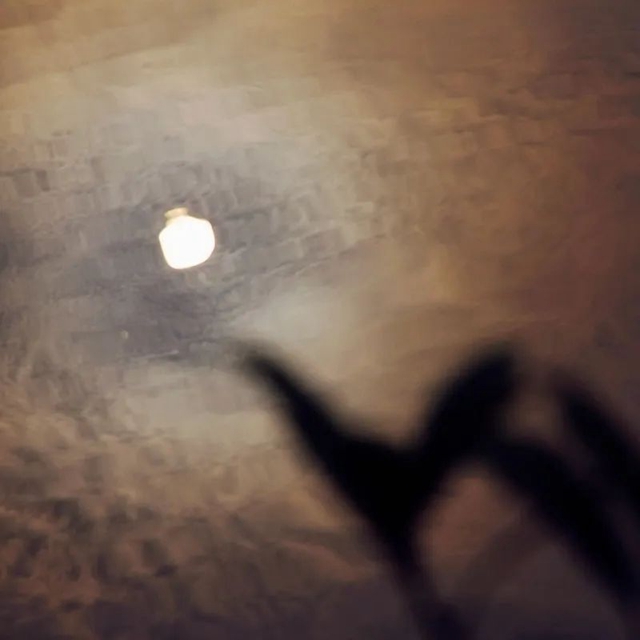 泸县的深秋藏在……(图4) 微信图片_20231031100928.jpg