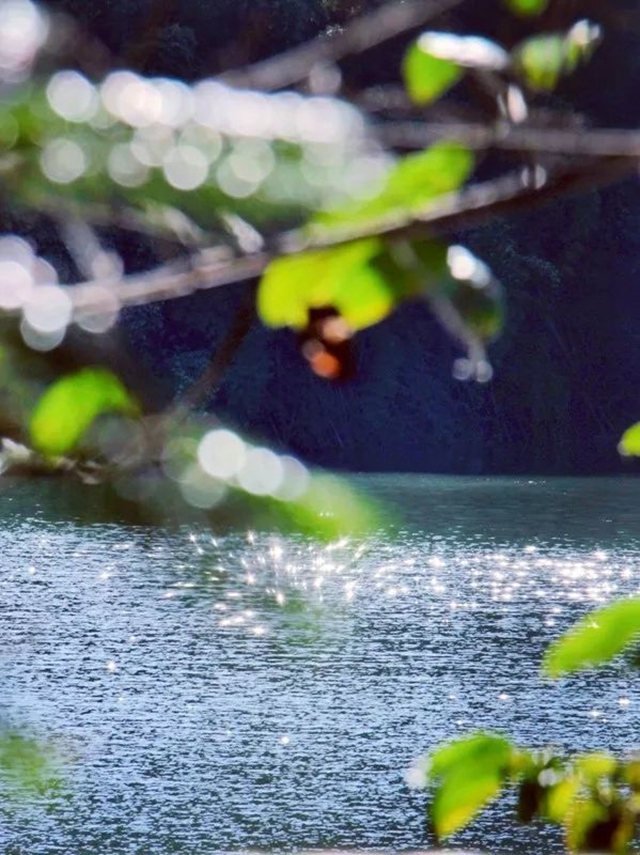 泸县的深秋藏在……(图8) 微信图片_20231031100956.jpg