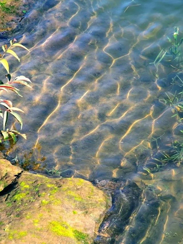 泸县的深秋藏在……(图15) 微信图片_20231031101037.jpg