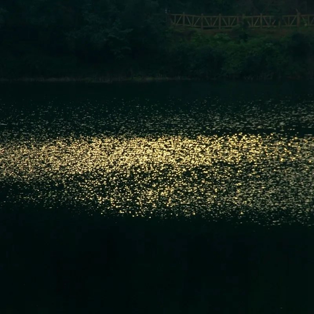 泸县的深秋藏在……(图16) 微信图片_20231031101041.jpg