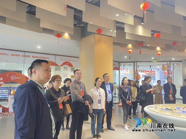 江阳区华阳街道人大工委、政协委员联络组联合开展专题调研活动