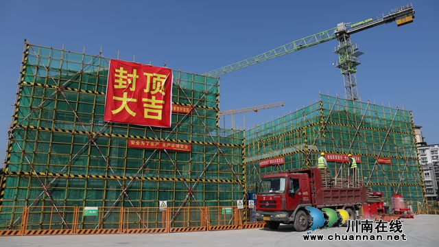 泸州市龙马潭区石洞农产品批发市场建设项目（一期）（地块二）+(2).JPG