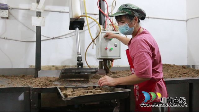 宜宾南溪区长兴镇：民营经济发展再上新台阶