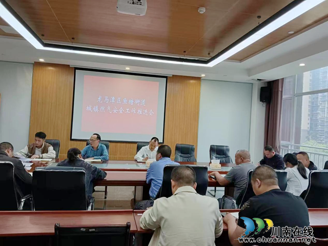 龙马潭区鱼塘街道召开城镇燃气安全工作推进会