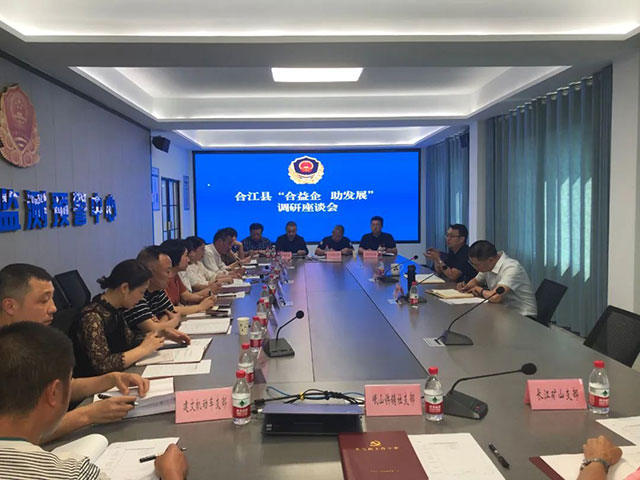 泸州：党建赋能“进万企”　服务发展“零距离”