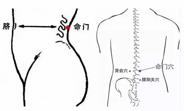 微信图片_20231108093317.jpg