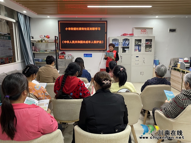 龙马潭区小市街道杜家街社区：一路“童”行·护“未”成长