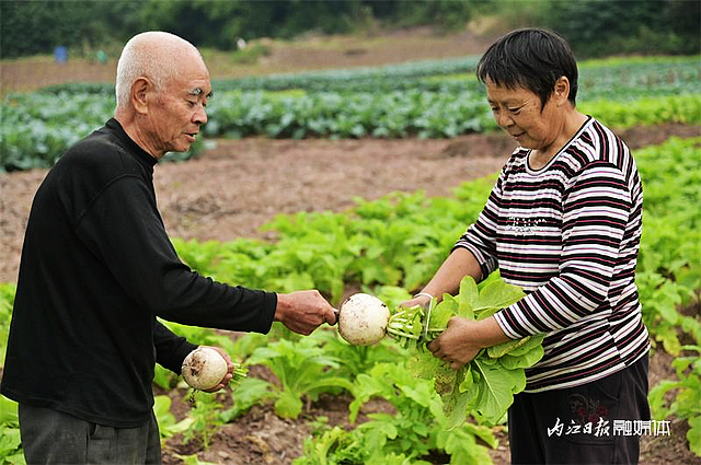 数量不多,一年一回!内江人终于等到它来了——(图1) nEO_IMG_1.jpg