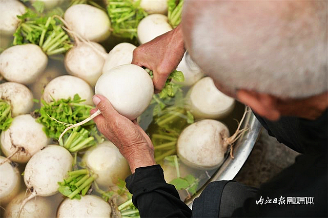 数量不多,一年一回!内江人终于等到它来了——(图5) nEO_IMG_5.jpg