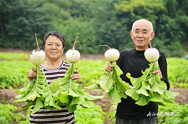 数量不多,一年一回!内江人终于等到它来了——(图4) nEO_IMG_4.jpg