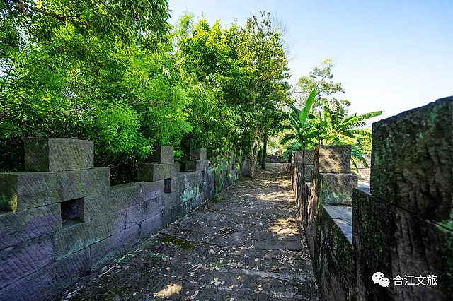 走进初冬的“老泸州城”——神臂城遗址(图3) nEO_IMG_3.jpg