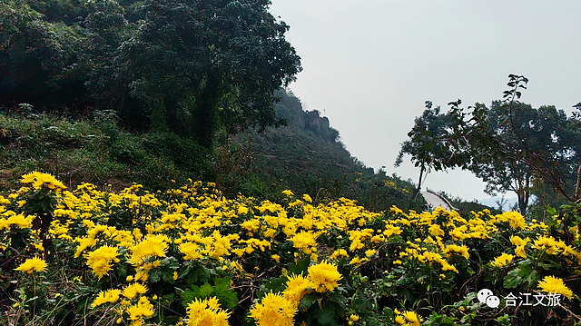 走进初冬的“老泸州城”——神臂城遗址(图4) nEO_IMG_4.jpg