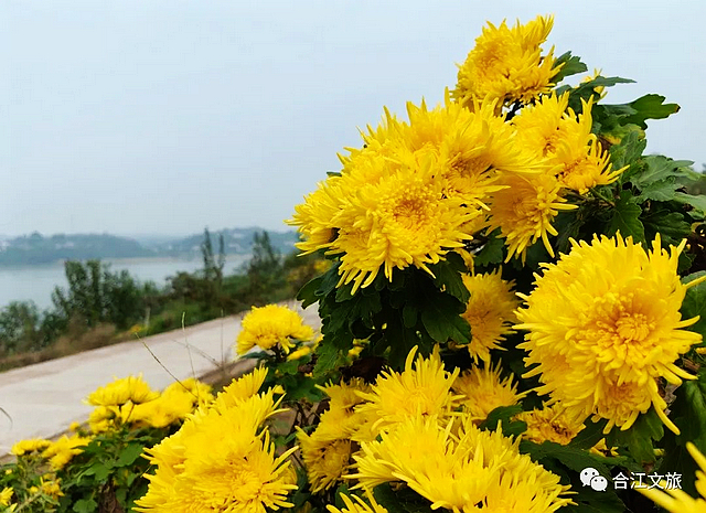 走进初冬的“老泸州城”——神臂城遗址(图7) nEO_IMG_7.jpg