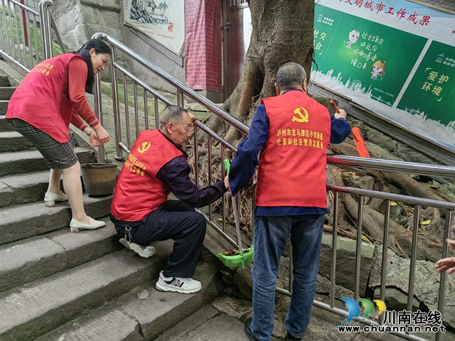 龙马潭区小市街道杜家街社区：党员先锋在行动  志愿服务践初心