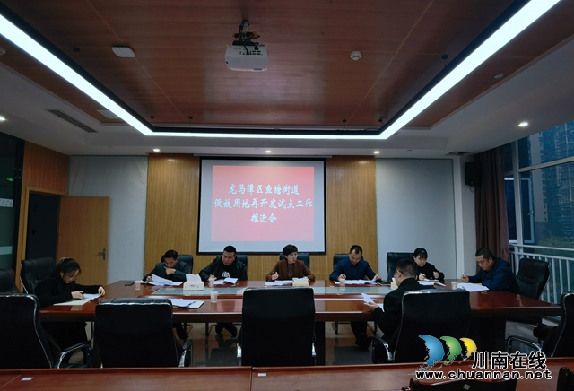 龙马潭区鱼塘街道召开低效用地再开发推进会