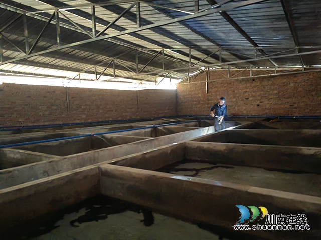娃娃鱼养殖场（曾佐然摄） (1).jpg