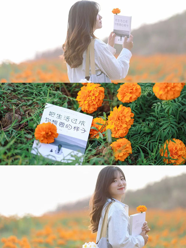 值得打卡!龙马潭这里的万寿菊正值盛花期,不要错过→(图9) 9.jpg