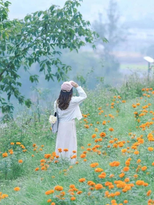 值得打卡!龙马潭这里的万寿菊正值盛花期,不要错过→(图8) 8.jpg