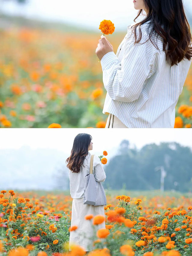 值得打卡!龙马潭这里的万寿菊正值盛花期,不要错过→(图10) 10.jpg