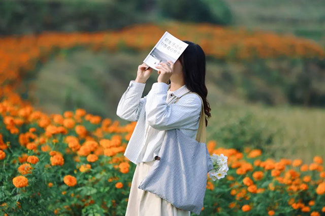 值得打卡!龙马潭这里的万寿菊正值盛花期,不要错过→(图12) 12.jpg