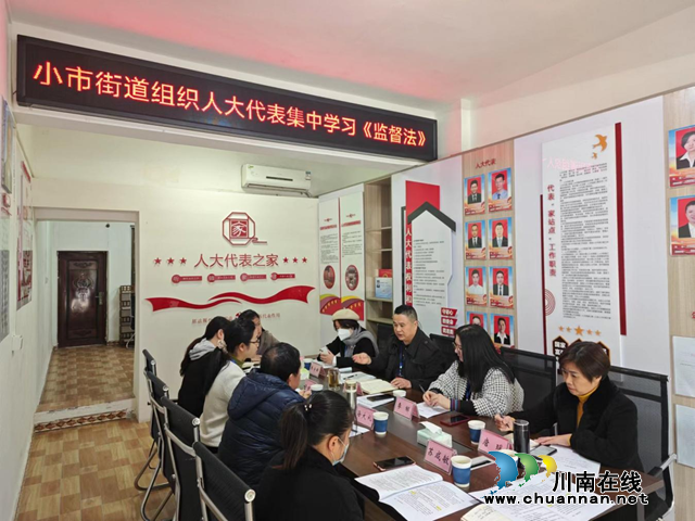 龙马潭区小市街道组织开展人大代表集中视察活动