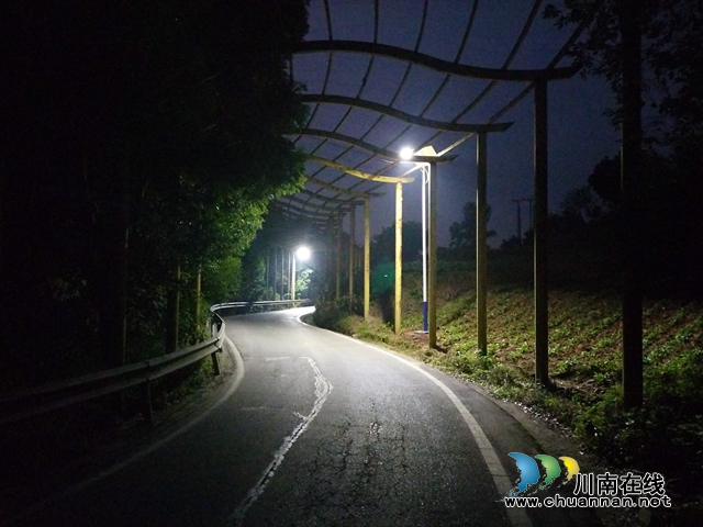 西岸村路灯照亮夜间乡道.jpg