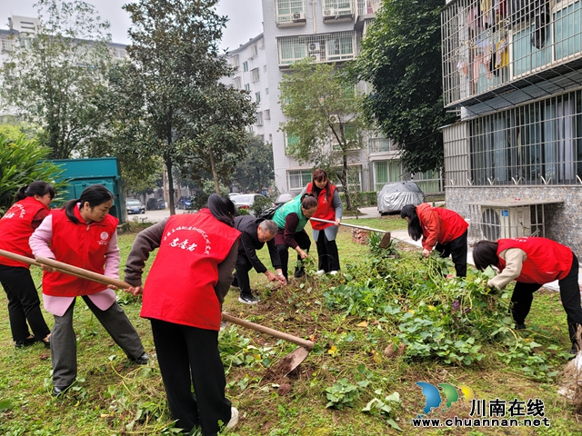 泸县玉蟾街道开展“文明行动日”系列活动