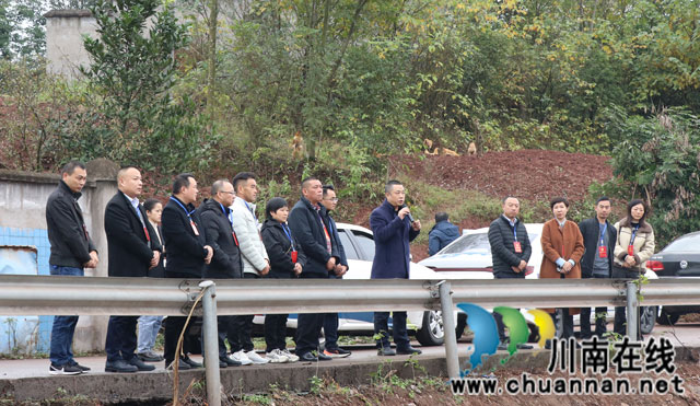 龙马潭区鱼塘街道组织开展集中视察活动