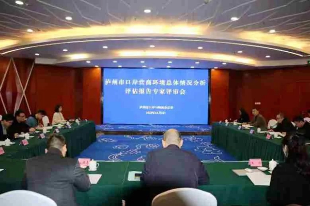 泸州市口岸物流办召开《口岸营商环境总体情况分析评估报告》专家评审会
